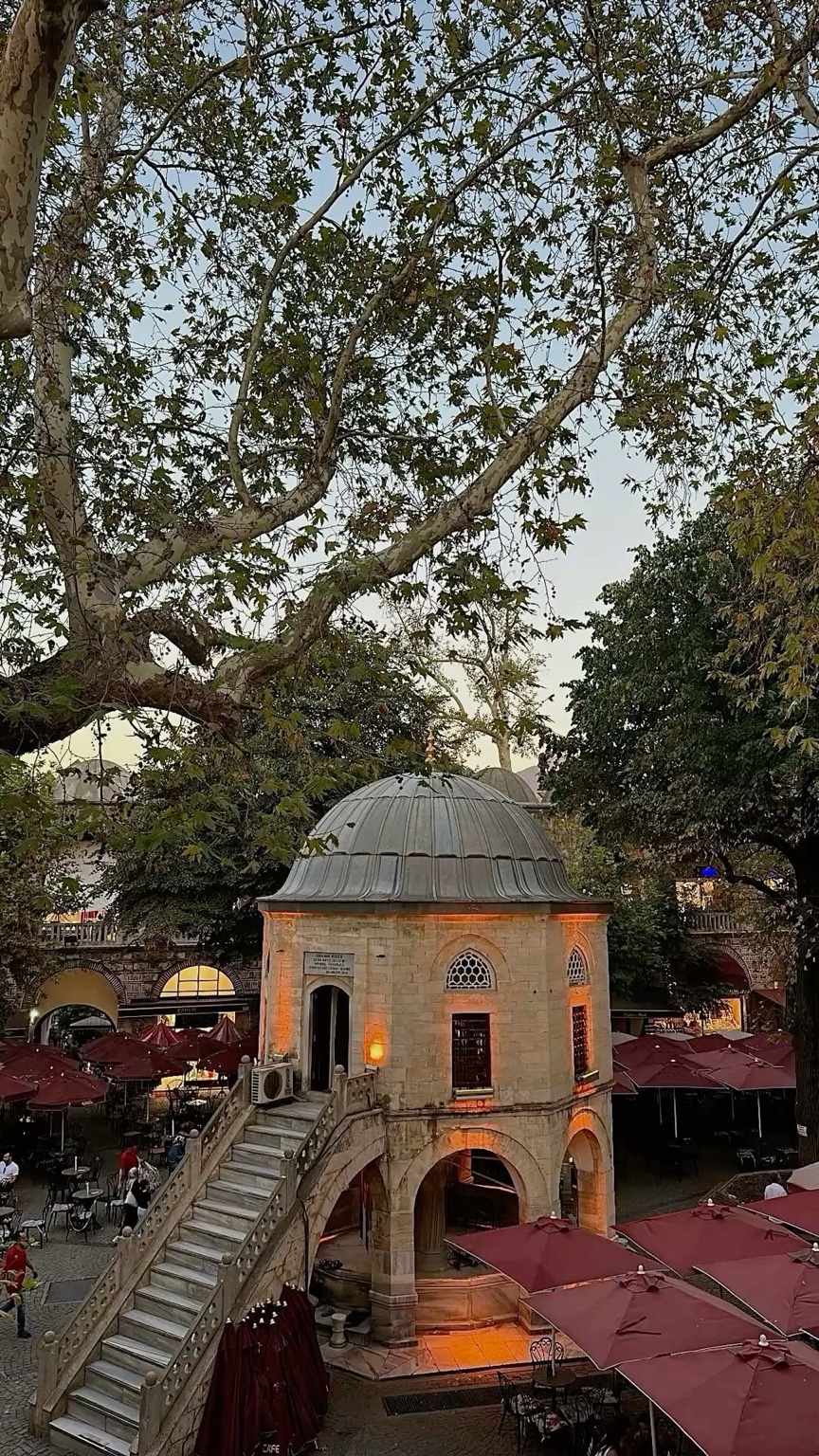 Historic architecture beneath leafy trees