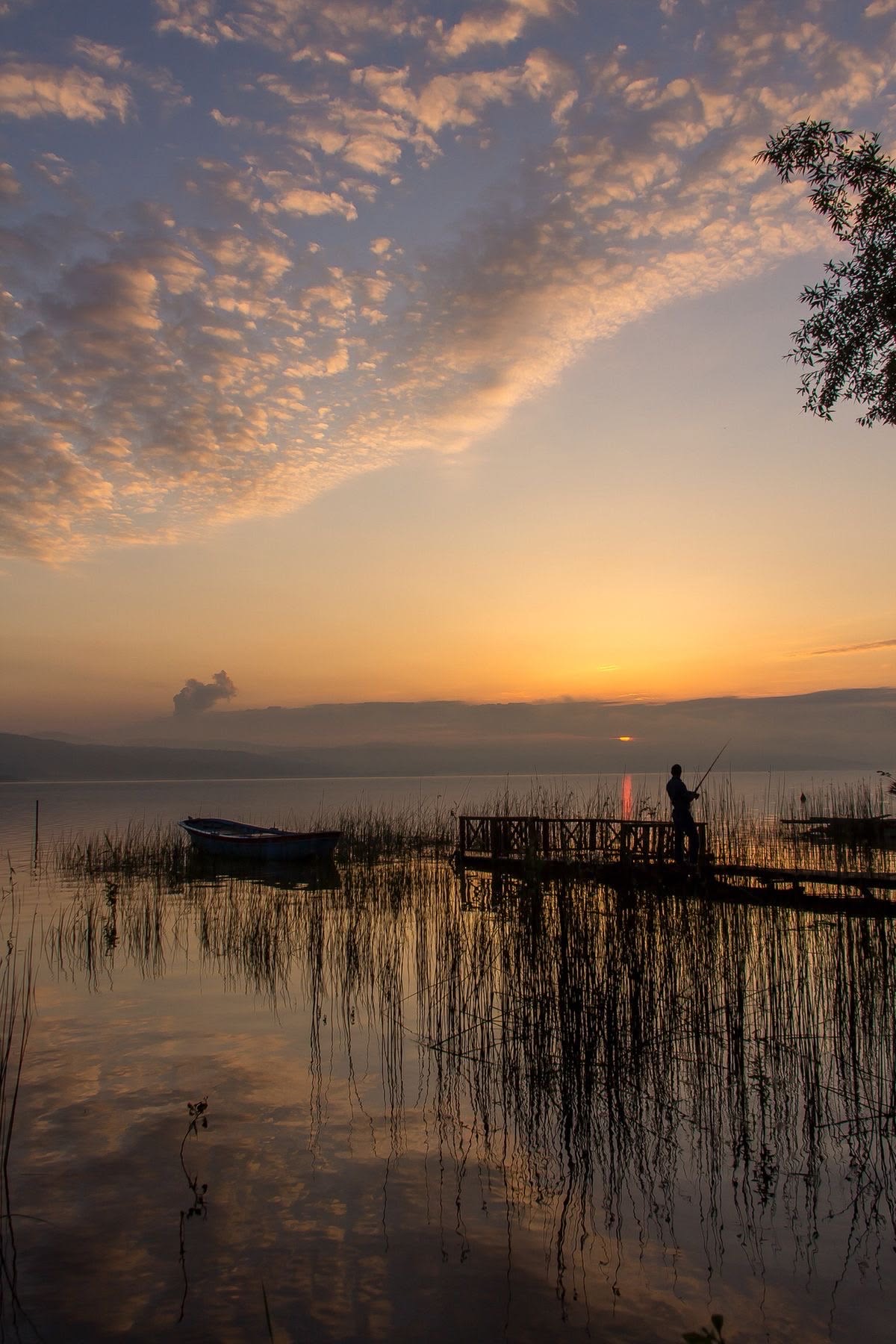 A peaceful lakeside at sunset
